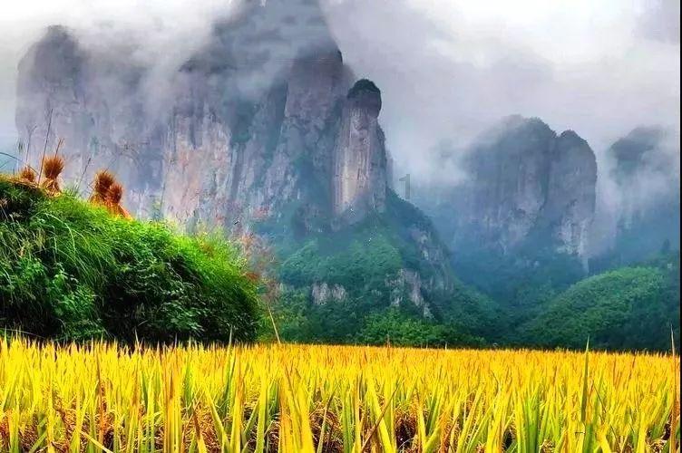 华为回退系统游戏画面