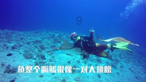 油漆墙面